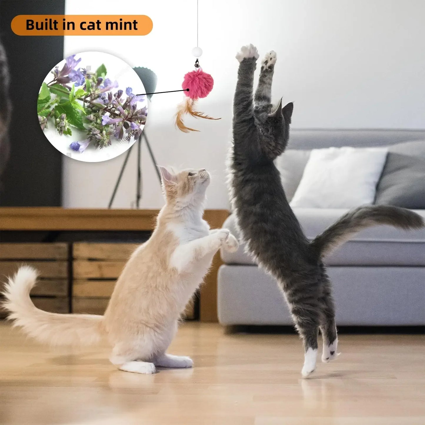 Rechargeable Interactive Hanging Plush Cat Toy – Automatic, Stretchable & Fun for Indoor Play